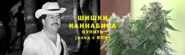 индика Белоозёрский