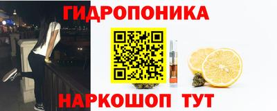 шишки Кинель