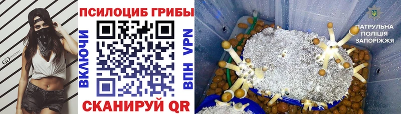 Галлюциногенные грибы мицелий где продают Каспийск